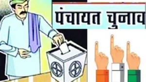 election
